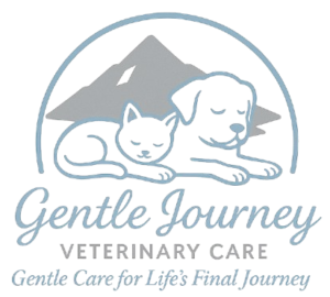 Logo-removebg-preview