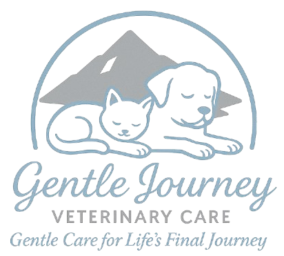 Logo-removebg-preview