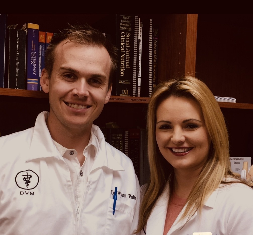 Gentle Journey partners